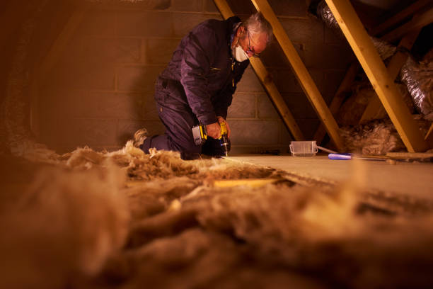 Best Eco-Friendly Insulation in Hampton, AR